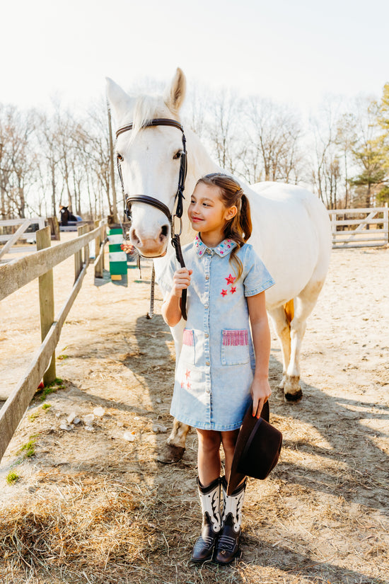 Dolly Denim Dress – Three Wildflower Designs